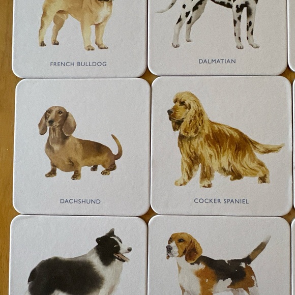 Laurence King Dog Coasters. Set of 16. New in Box - Picture 2 of 12